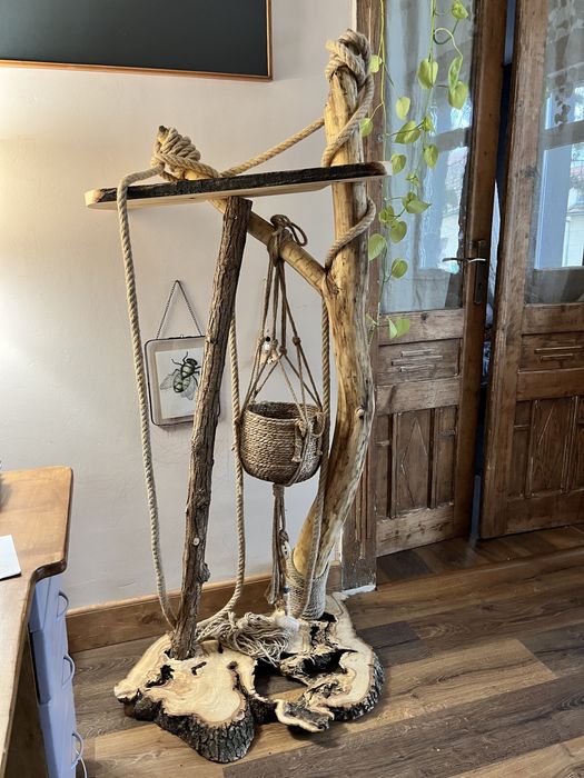 Ansamblu pentru pisici