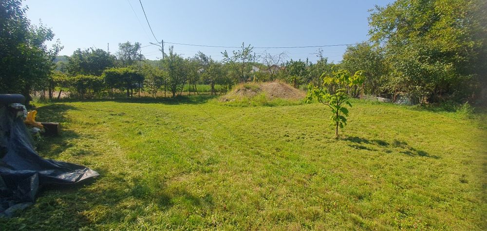 vand teren pe gheorghe doja 819mp