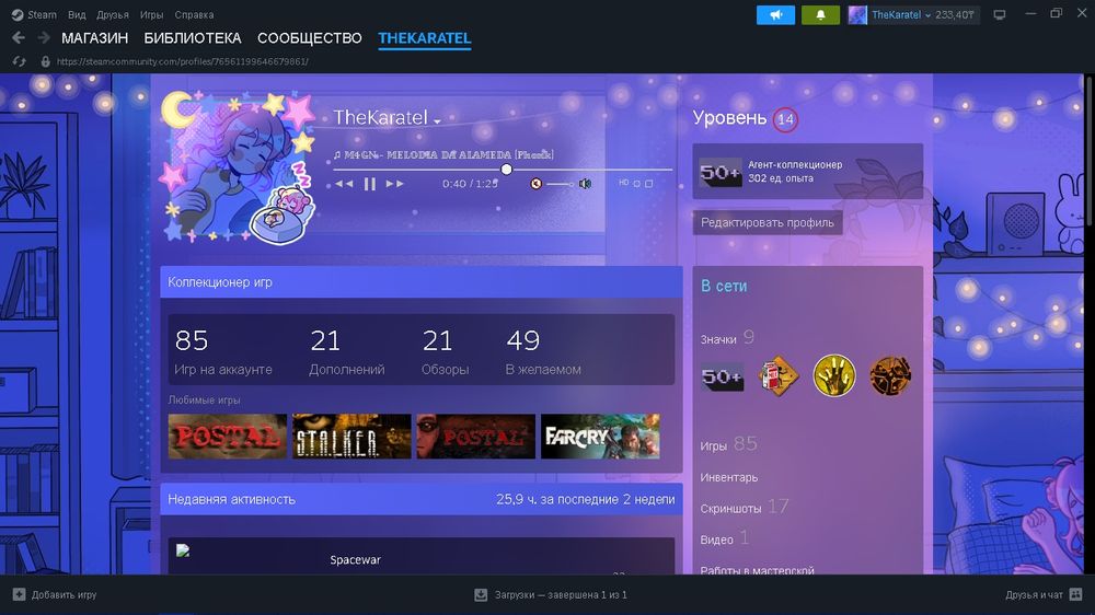 Жирный стим аккаунт