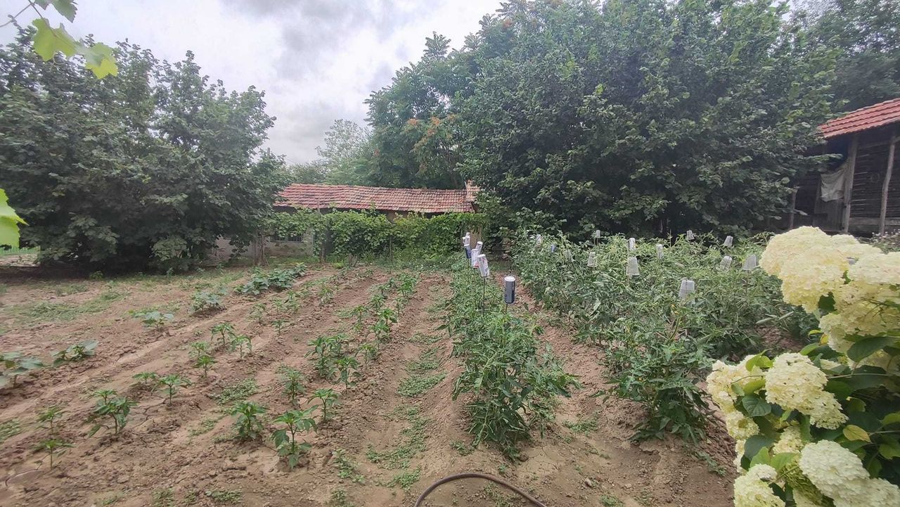 Продава се Къща в с. Красен, Област Добрич - 100 кв.м за 369 €/кв.м - Снимка #18