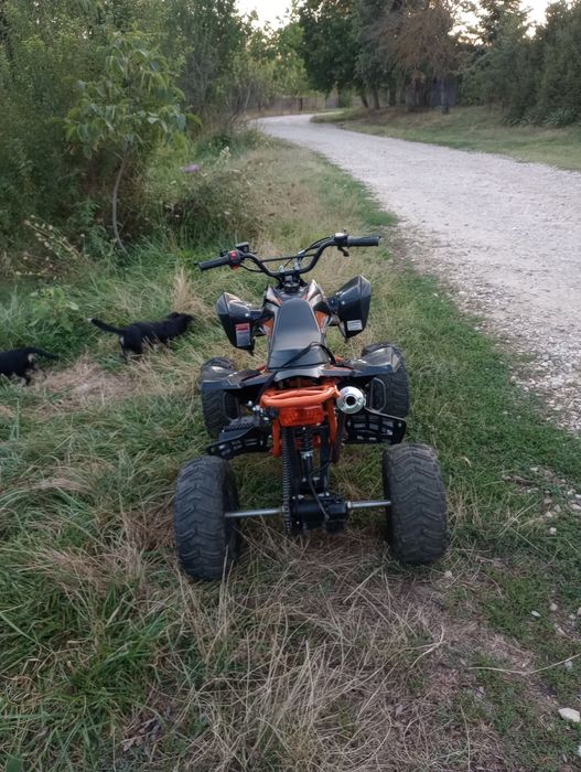 ATV 125 anul 2024
