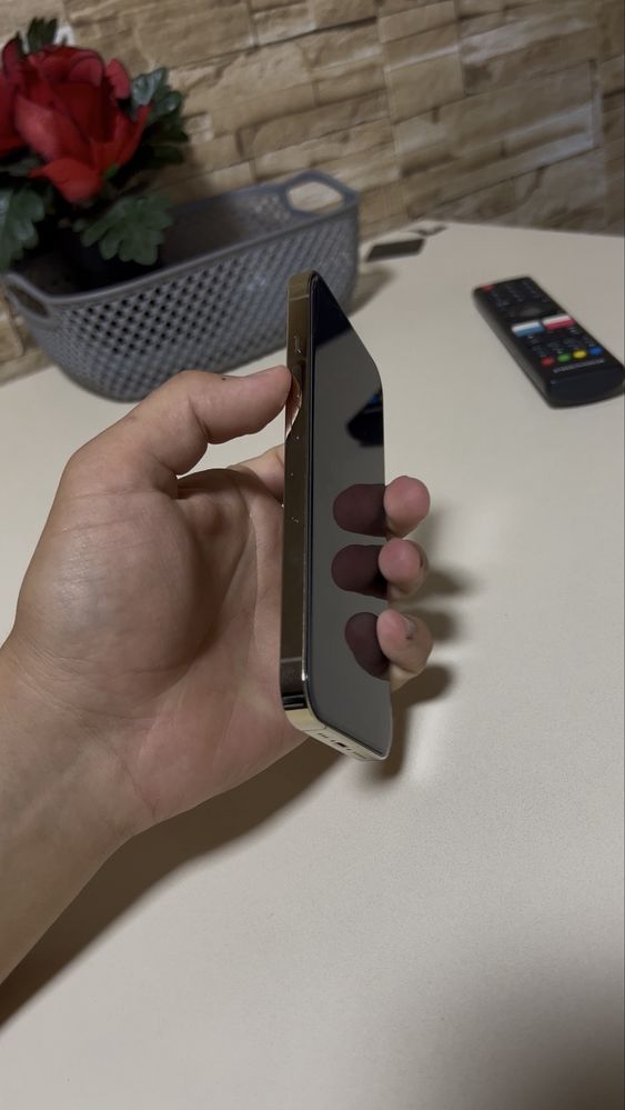 iPhone 13 pro 256GB