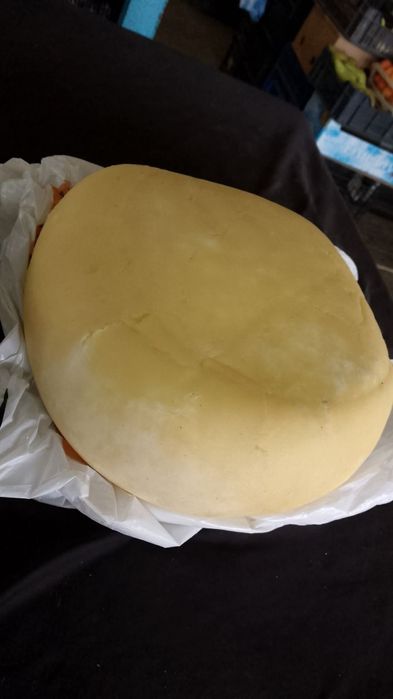 Vând caș de vacă gras și bun.