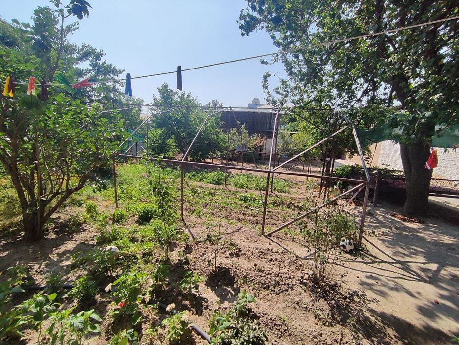 Towken wahri mirzo ulugbek