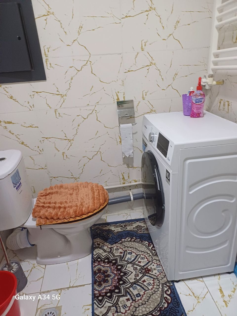 Motrid ijaraga beriladi