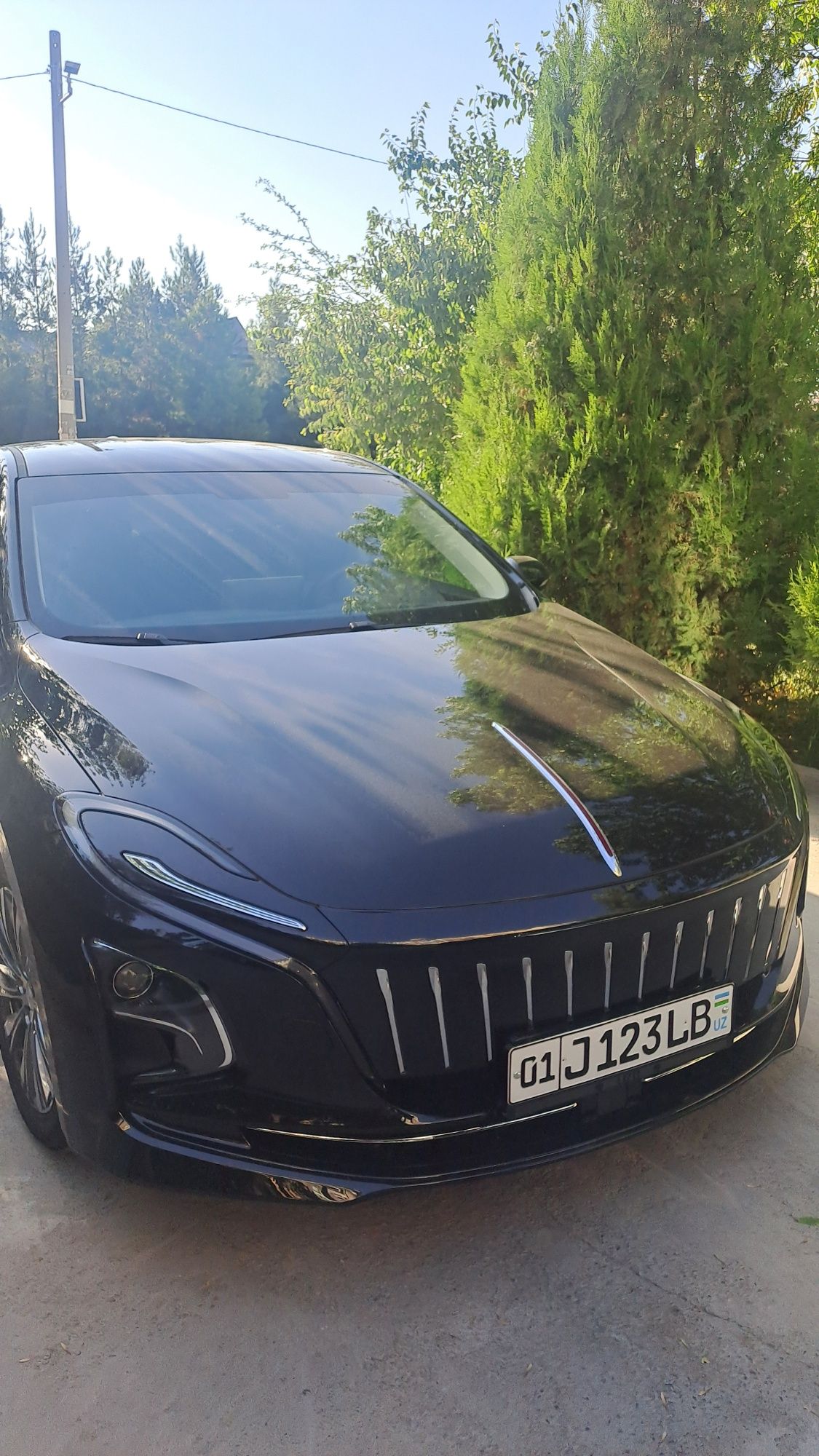 Hongqi EQM5 500KM