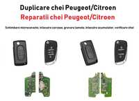 Cheie / Chei Peugeot Citroen