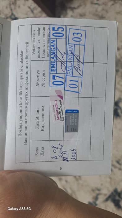 Продаю очаровательную шотландскую кошечку (7 месяцев)
Очень ласк