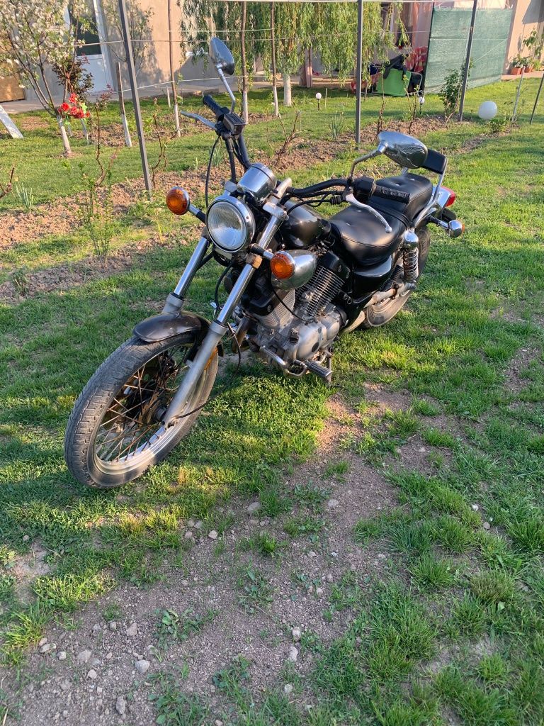 Yamaha Virago 535 an 1996 (A2)