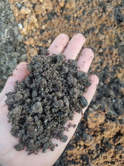 Гунг навоз чиринди