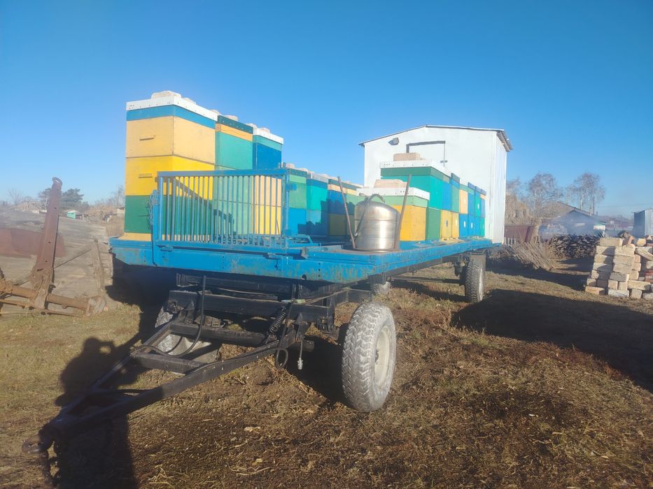 Продам пасику. С ульями