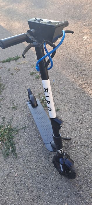 Trotineta BIRD de vânzare