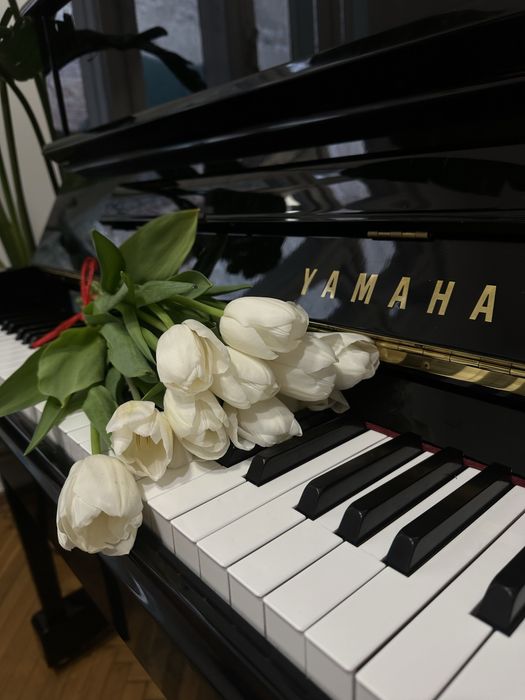 Lecții de pian - Pentru copii: începători și avansați