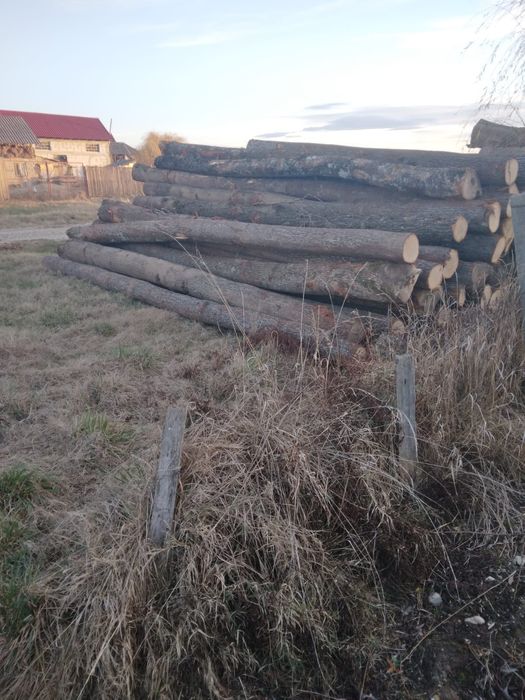 Vând lemne de foc uscate