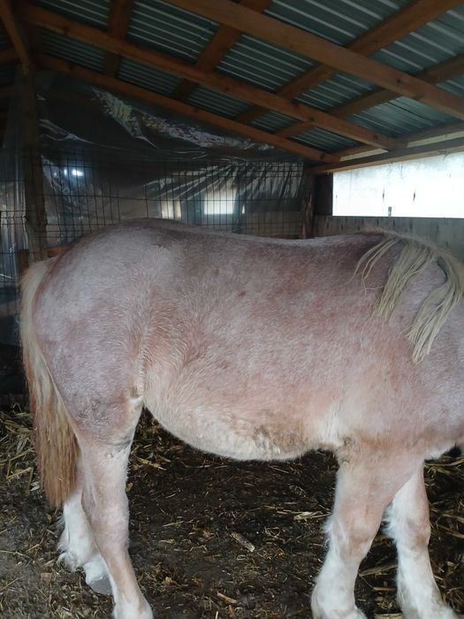 Vand mazn de un an mai multe detaki la telefon