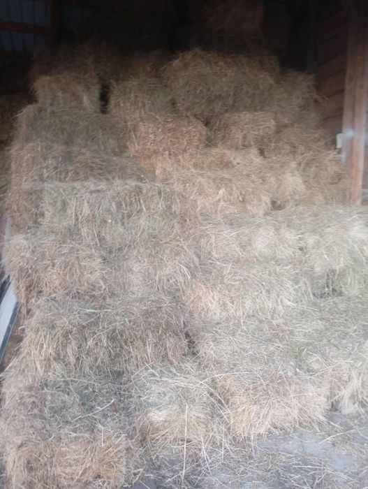 Vind baloti fin de calitate