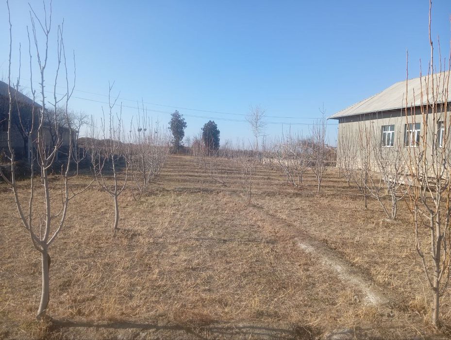 Hovli joy tomorqasi va xoʻjaligi bilan