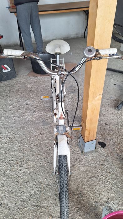 Bicicleta Raleigh/ pegas