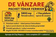 1000 mp intravil + 5800 mp extrav + 1 hectar pădure  17 km Cluj-N.