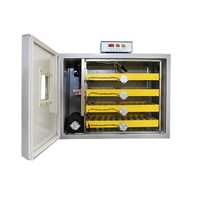 Incubator profesional MS-240