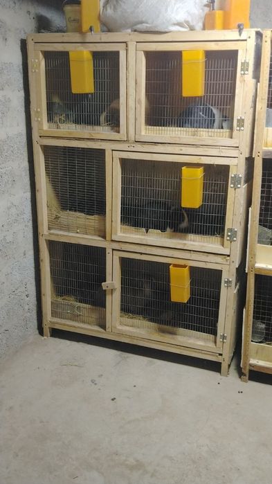 Quyon qafasimiz sotiladi