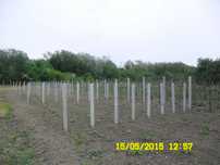 Spalieri beton/ Spalieri gard/Spalieri vie/Gard beton/Tuburi fantana