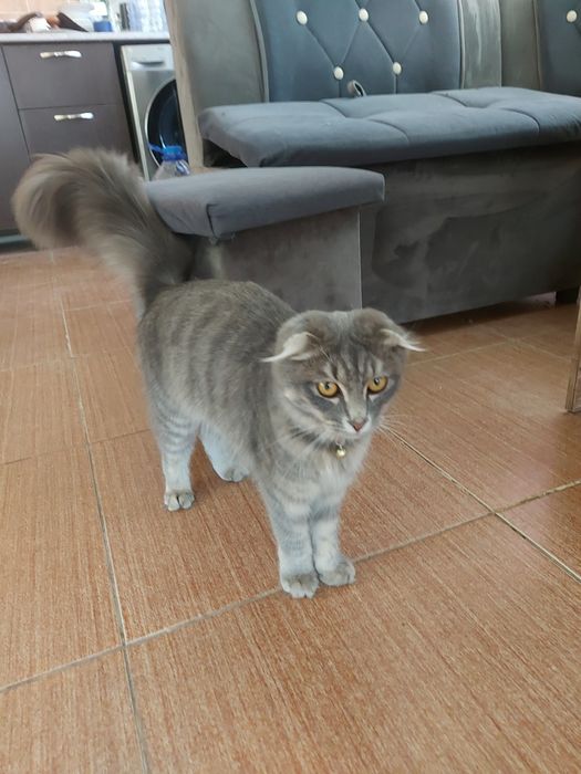 Продается срочно