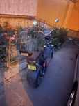 moped inmatriculat