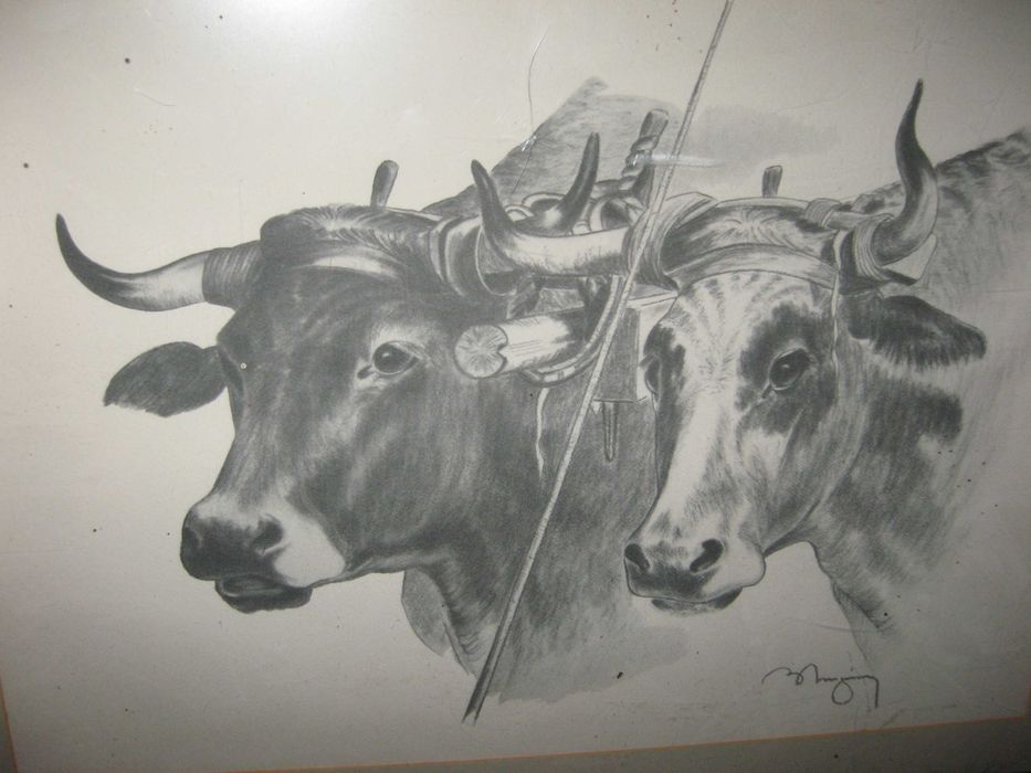 picturi, foarte vechi