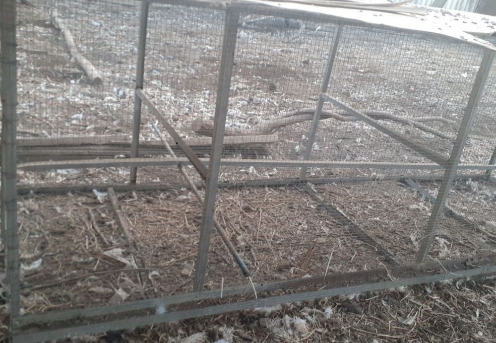 Tovuq qafasi razmeri 1*1*3 metr