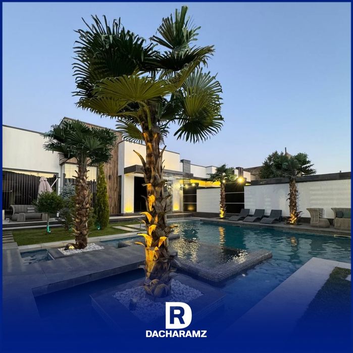 Супер чегирма! «Maldives» 10 кишигача