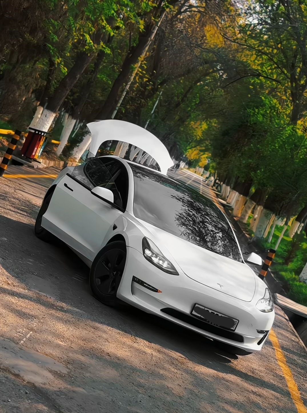 Tesla model 3 2022