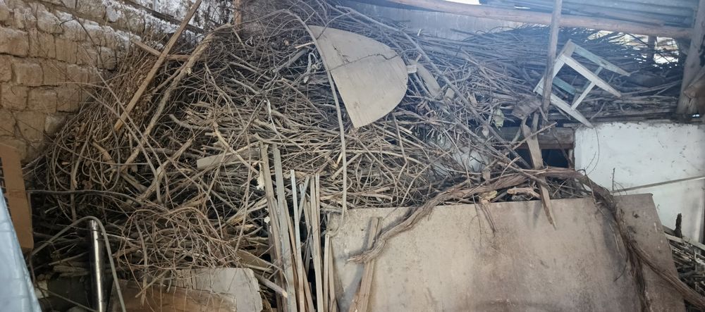 Утин текинга берворилади шох шабба тандирга Зур куриган