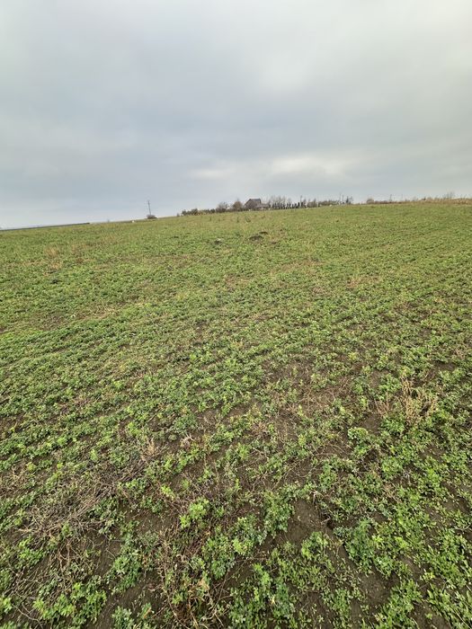 Teren vânzare intravilan REDIU-Horlești la Șoseaua strategică DJ 248 B