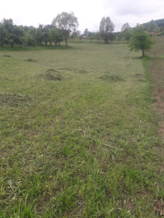 Teren Vladesti Priporu