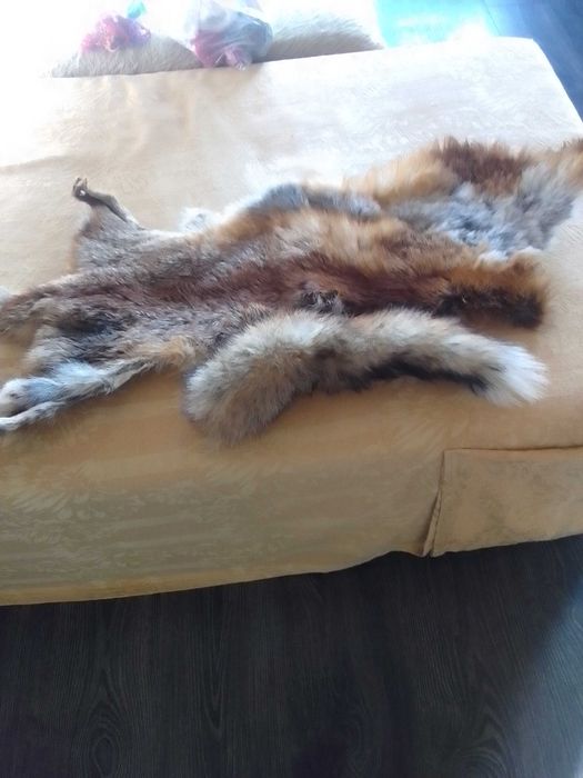 продавам лисича кожа + опашка