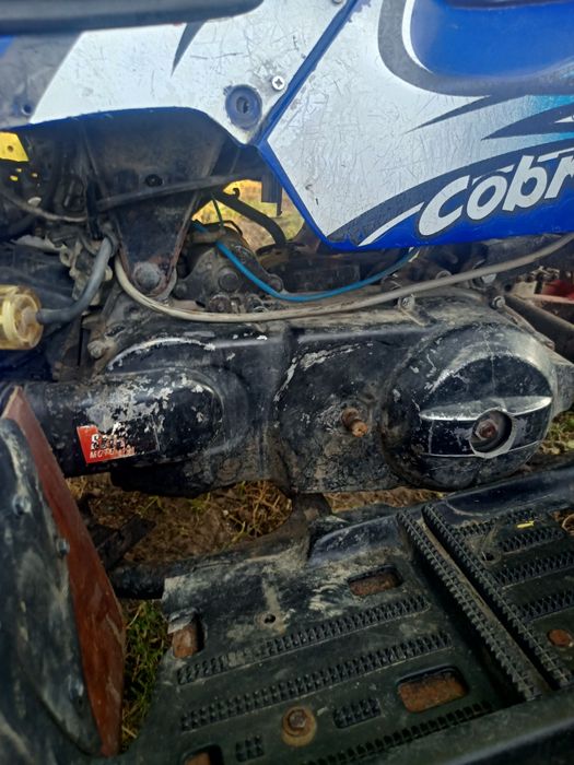 Vand ATV aeon cobra