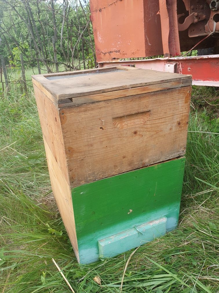Vand cutii familii albine vertical