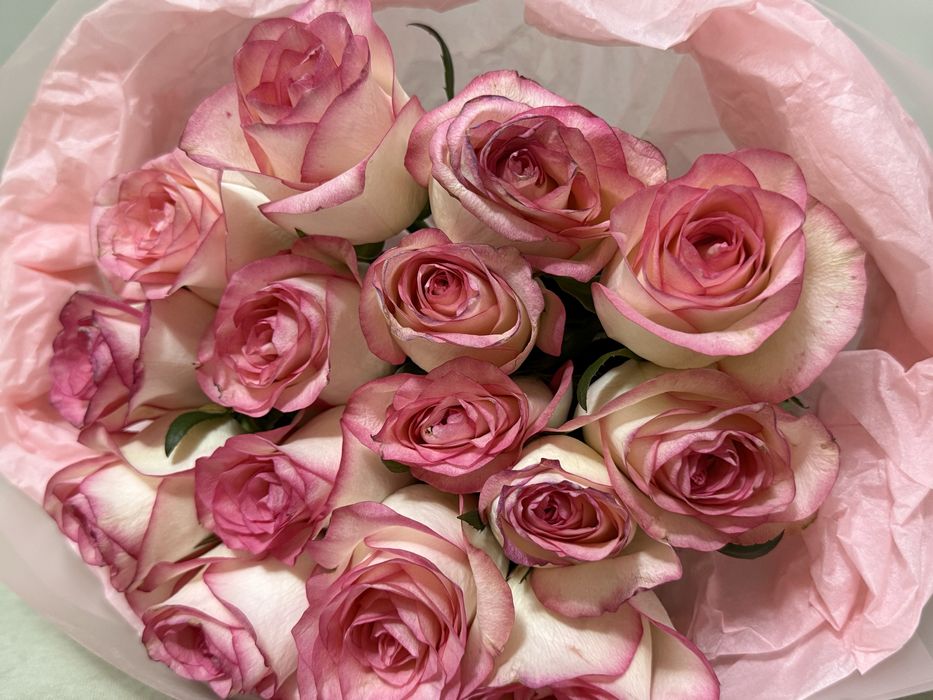 Срочно продам ! Цветы