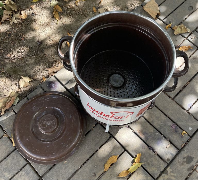 Topitor de ceară ( albine)