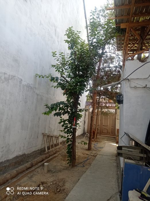 Дом паркенский тапоич мост