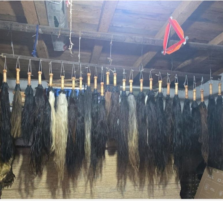 Pleaftura, coada de cal pentru urs sau badanari