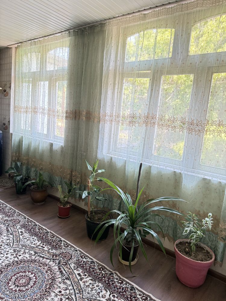 4 honali uy ijaraga beriladi