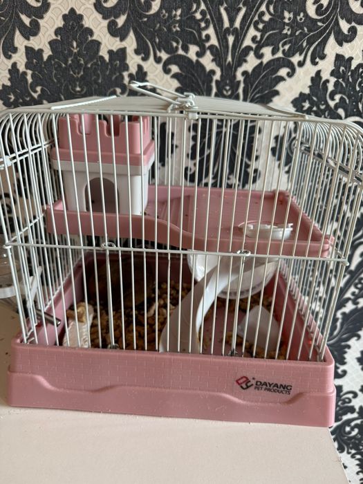 Продам хомяка с клеткой