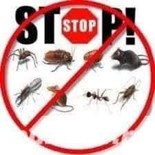 Deratizare,Dezinsecție,Dezinfecție.(D.D.D)