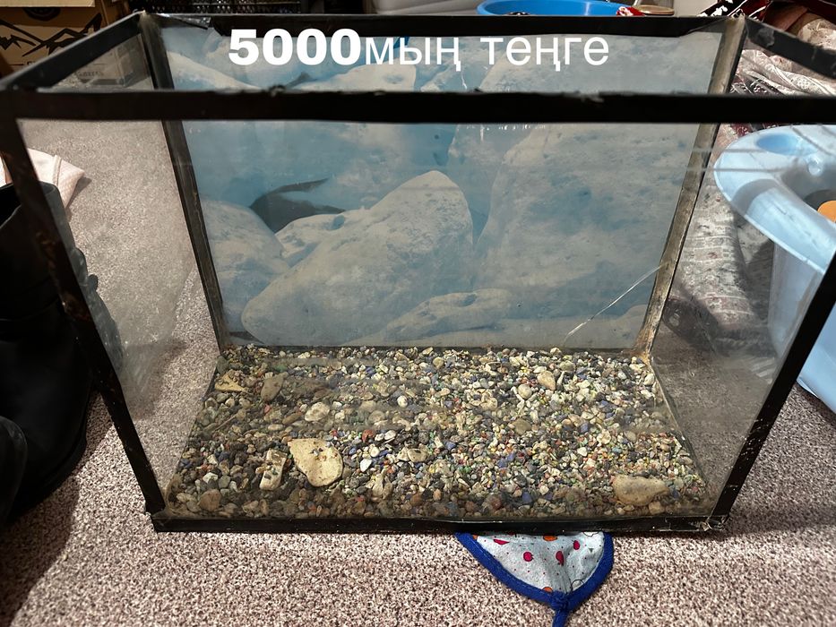 аквариум маленький