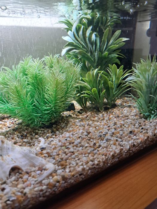 Acvariu Aquael LEDDY PLUS 54 L