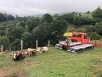 Ratrak Pistenbully PB145,motor Unimog