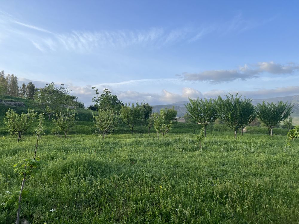 Zomin (Kadastiri uchaska)dach Hovli sotiladi kelishtirib beriladi