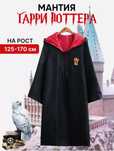 Костюм карнавальный Гарри Поттер